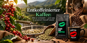 Entkoffeinierter Kaffee: Wie er entsteht – und was in unserem Decaff steckt
