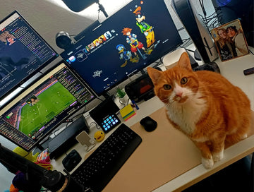 Nori im Portrait: Cozy Vibes, Kater Samson und ein Kaffee, der endlich verträglich ist